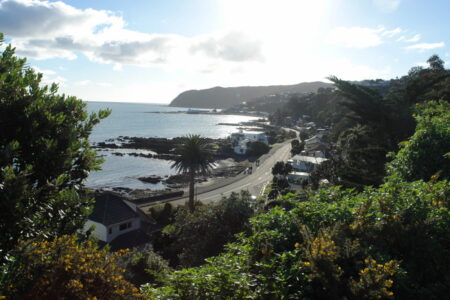 Coastal outlook viewed north east