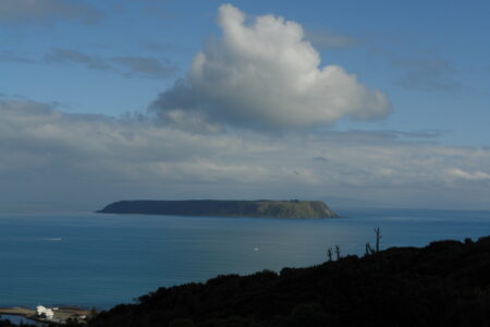 Mana Island - viewed from "The Track"