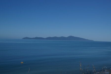 view of Kapiti Island from track