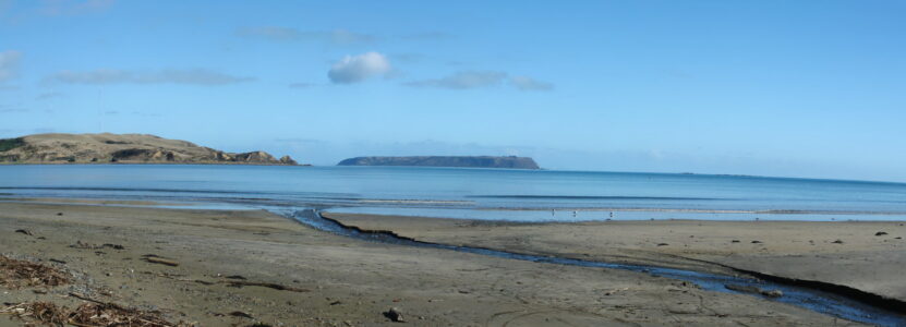 Plimmerton Beach with Mana Island distant